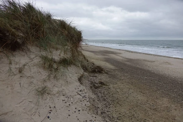 Close Shot Grass Growing Sand Next Beach Cloudy Sky — Stock Photo, Image