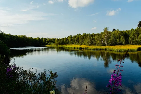 Beautiful Shot Lake Red Moor Biosphere Reserve Rhon Mountain Hesse — Stockfoto