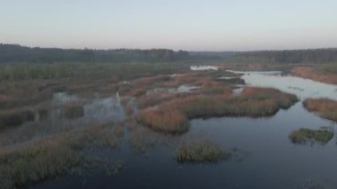 A drone footage of a river and many thatches in Nadrowo, Poland