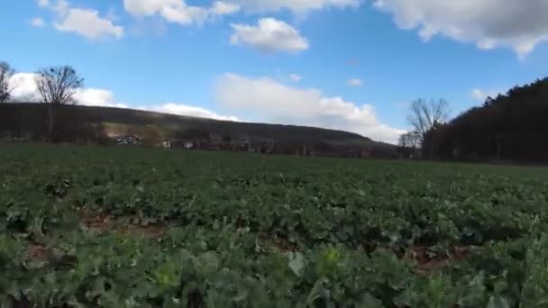 Vast Green Agricultural Land Bavaria Germany — Wideo stockowe