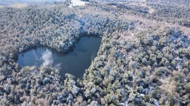 Bird Eye View Heart Shaped Lake Surrounded Forests Top Hill — Video Stock