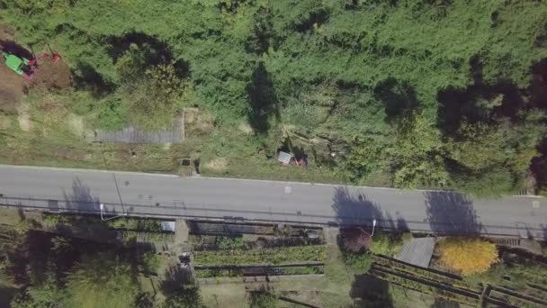 Aerial View People Work Deforestation Restoration — стоковое видео
