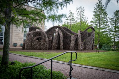 A beautiful shot of sculptures from wooden branches made by environmental artist Patrick Dougherty