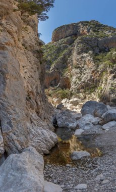 A vertical shot of  in background of supramonte Mountains