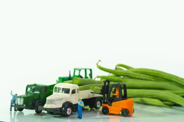 Trucks are loaded by a forklift with string beans, snap beans, white background. Concept: transportation of vegan food