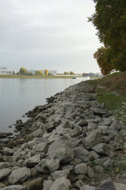 Rhine shore near Altrip with a view to Mannheim Rheinau, Altrip, Rhineland Palatinate, Germany