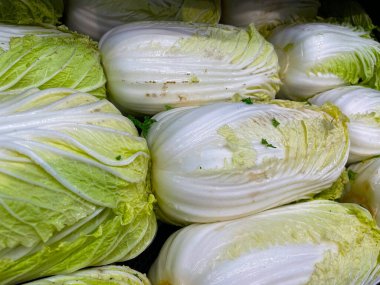 Augusta, Ga USA - 12 22 21: Retail store fresh produce rows of Bok Choy