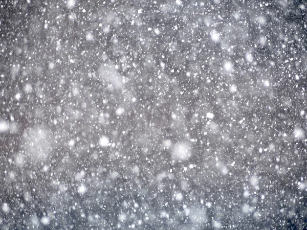 dense snow fall with large snow flakes falling down