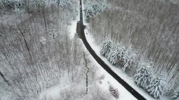 Aerial Shot Road Surrounded Leafless Forests Covered Snow Winter Bavaria — 图库视频影像