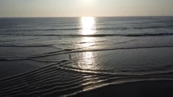 Beautiful View Sunlight Ocean — Video Stock