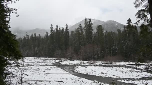 Footage Mount Rainier Foothills River Snowfall Washington State — Video Stock