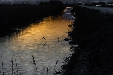 A scenic view of a river with sunset reflections in a rural area