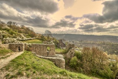 A scenic view of the ruins of the Lowenburg in Monreal, Germany
