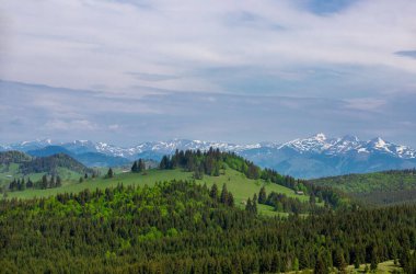 Geniş bir orman ve dağ manzarasının doğal bir görüntüsü.