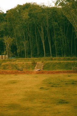 A vertical shot of a field in the background of a forest in the daytime.