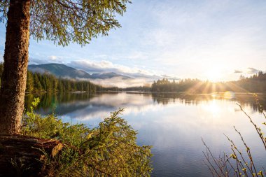 A scenic view of a beautiful lake in a forest at Port Renfrew in sunny weather