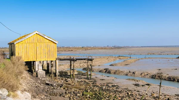 Bunte Holzhäuser Austernhütten Auf Der Insel Oleron Frankreich Hintergrund Die — Stockfoto