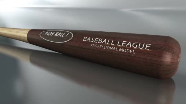 Animated Footage Play Ball Baseball Bat Reflective Surface — Wideo stockowe