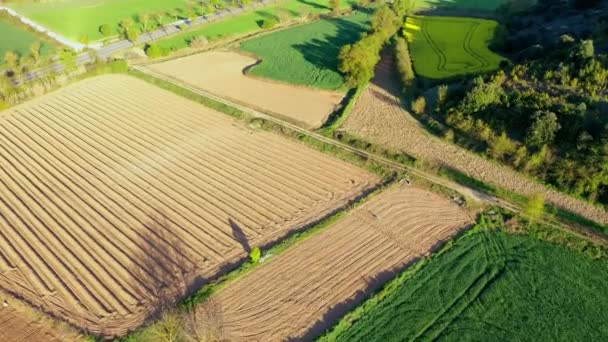 Aerial Drone Footage Rapeseed Fields Rural Area — 비디오