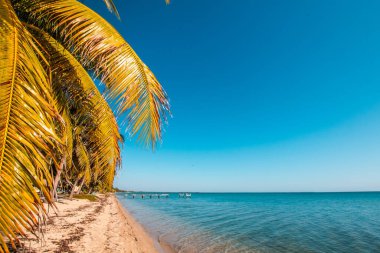 Scene from Hopkins Village in Sout