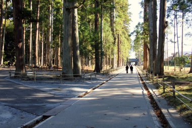 Tourists walk through an alley in a forest near  Zuigan-ji temple in Matsushima in Japan.