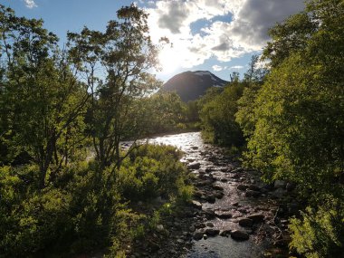 The beautiful summer landscape with green trees and river against the mountain peak.