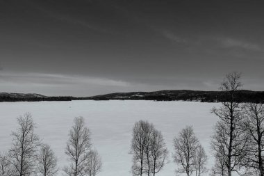 A grayscale shot of a snow-capped field