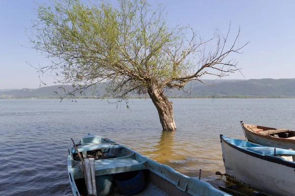 Boats standing in the lake and the tree in the lake bursa, turkey