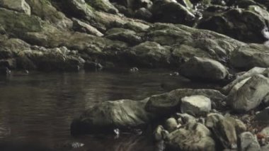 A beautiful landscape view of a creek flowing through rocks on a sunny day in Valle di Muggio, Ticino, Switzerland