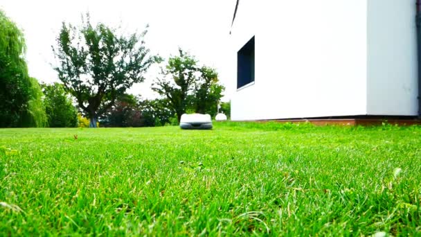 Beautiful Video Autonomous Cordless Mower Mowing Lawn — Stockvideo