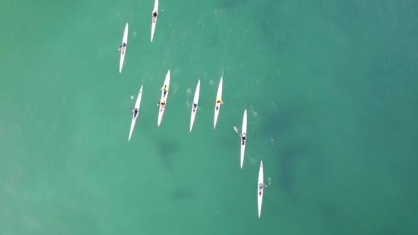 Aerial Shot People Canoeing Sea — Stockvideo