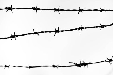 A closeup silhouette of barbed wire fence against a white background