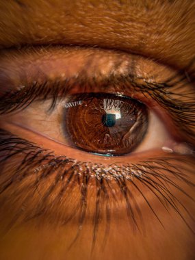 Kahverengi bir insan gözünün detaylarını gösteren dikey bir makro çekim.