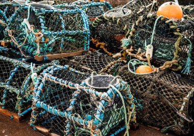 Fishermen lobster pots drying in the harbour at Shaldon, Devon