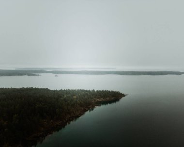 Güzel bir göl manzarası ve bulutlu bir günde kıyıdaki ormanlar.