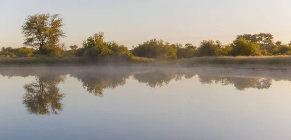 Det Smukke Landskab Med Søen Afspejler Grønne Træer Kysten Namibia - Stock-foto