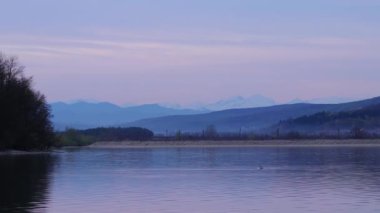 A lake landscape with a duck diving into the water
