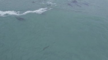 The footage of the sea and buildings on the shore. Dinosaur Caves Park, San Luis Obispo, California.