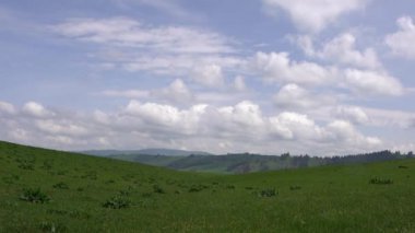 A bird's eye View of green fields on the background of forest and rocks .Time lapse