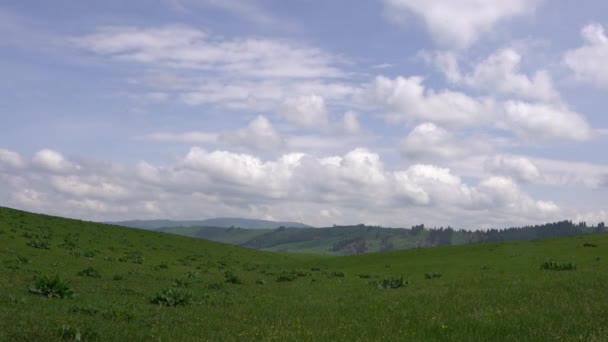 Bird Eye View Green Fields Background Forest Rocks Time Lapse — Video Stock