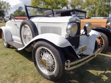 Yaşlı beyaz Chrysler Plymouth Roadster 1930 dolaylarında kırsala park etmiş. Doğa otları ve ağaçlar. Klasik araba şovu..