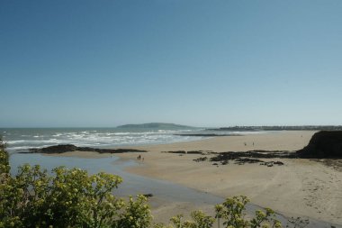 A beautiful view of a beach with green plants on the shore
