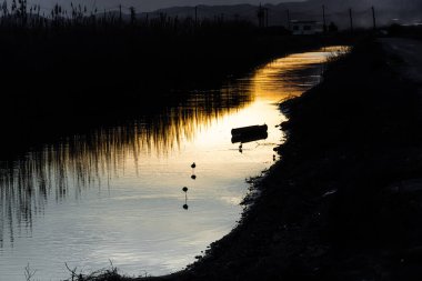 A scenic view of a river with sunset reflections in a rural area