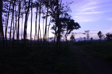 Dağlarda gün doğumunun güzel bir görüntüsü