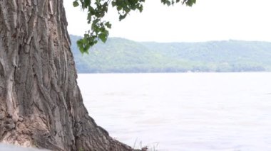 A footage of flowing water and green hills