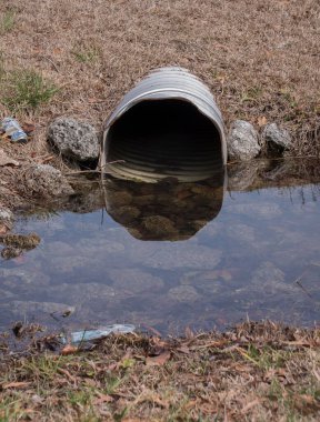 New Bern, Kuzey Carolina, ABD 'de bir drenaj borusu boyunca yatan bir yavrunun dikey görüntüsü