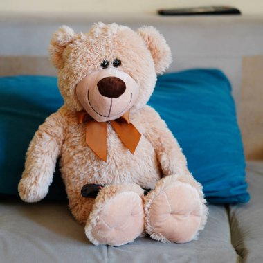 Kanepede uzaktan kumandalı doldurulmuş bir ayının dikey yakın çekimi.