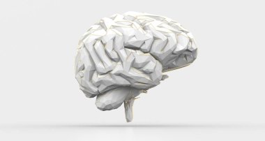An illustration of a gray brain on a white background