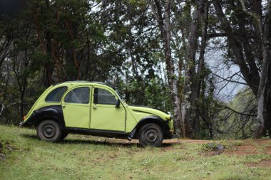 Ormanda eski yeşil bir araba.