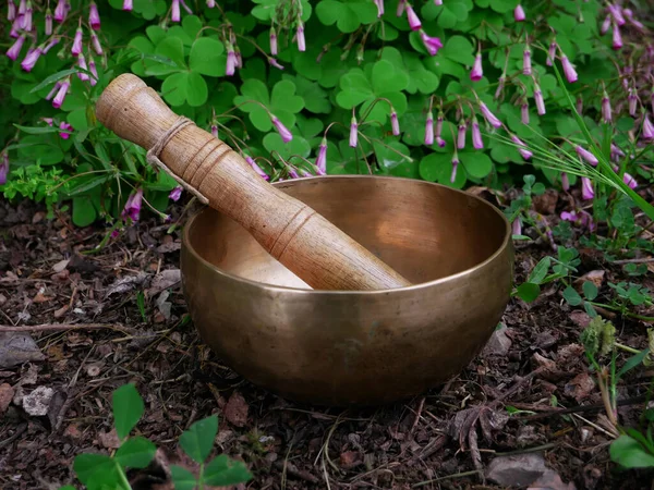 Metal Singing Bowl Relaxing Receiving Healing Vibrations — Stock Photo, Image